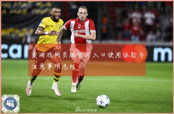 爱游戏网页版官方入口使用体验与注意事项总结