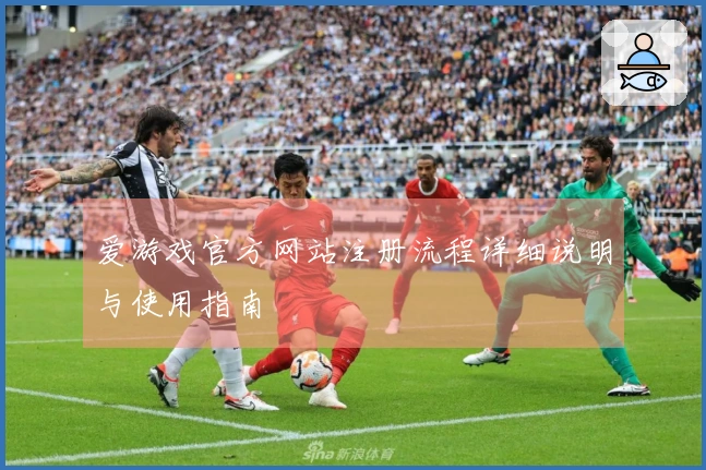 爱游戏官方网站注册流程详细说明与使用指南